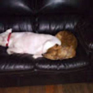 Meet your Posher, Robin